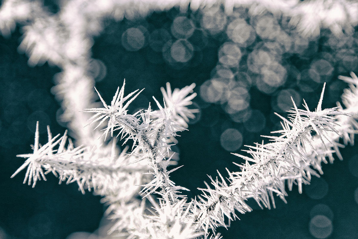 Eis-Bokeh nahe der Enns